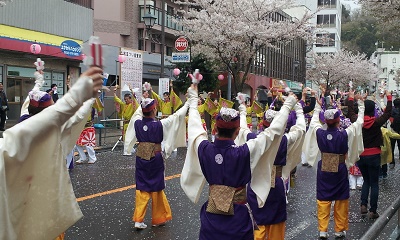 せいせき桜まつり+