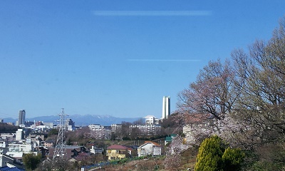 多摩市議会派室+