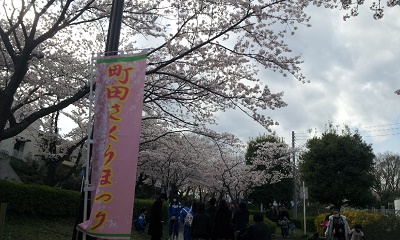 さくら町田まつり+